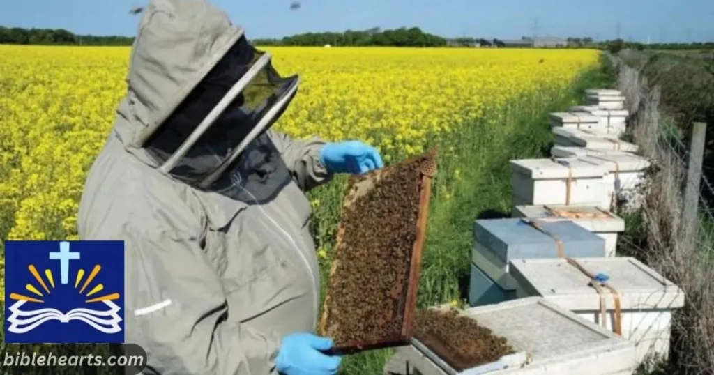 Bees in Agriculture