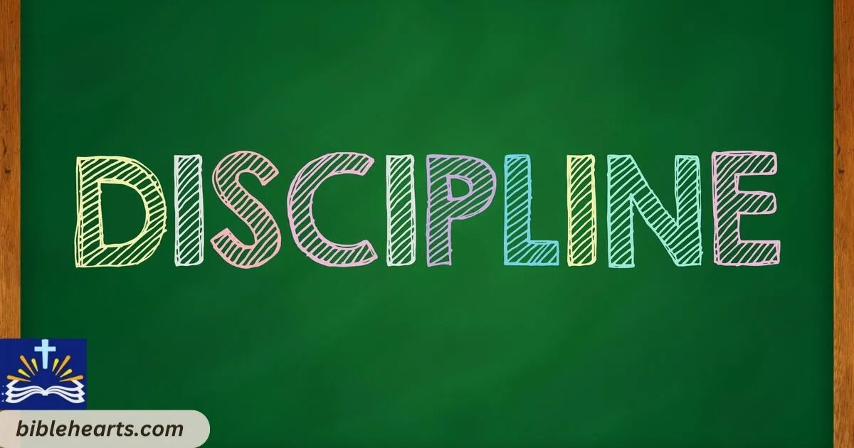 About Discipline