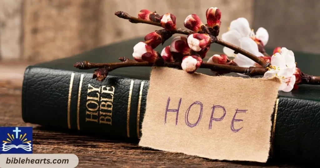 Bible Provides Hope