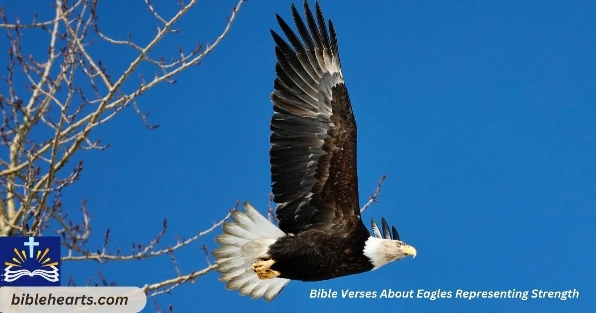 Eagles Representing Strength