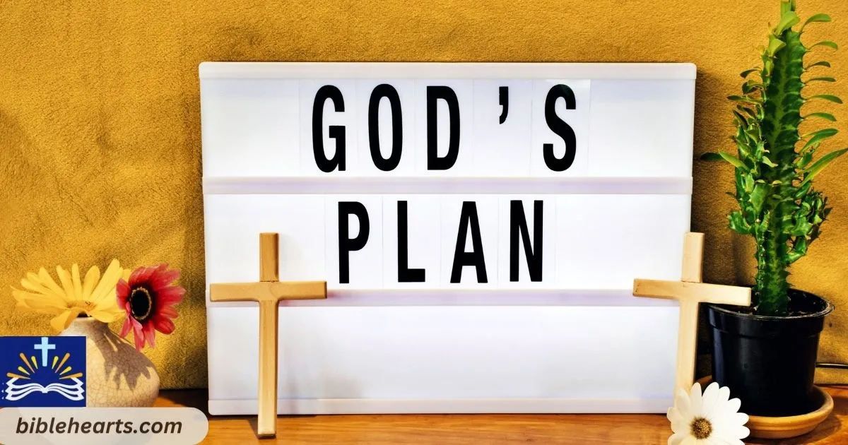 Gods Perfect Plan