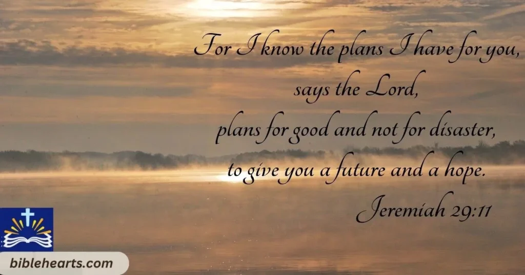 Jeremiah 2911 