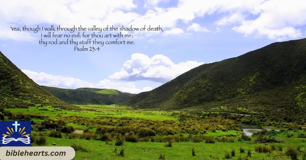 Psalm 234