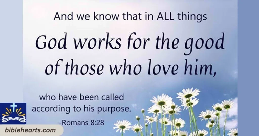 Romans 828