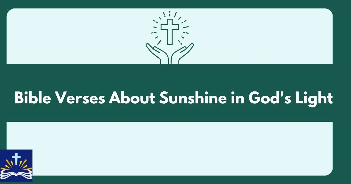 Bible Verses About Sunshine